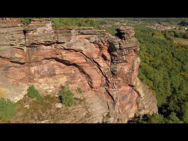 Entdeckungsreise: Die Südliche Weinstraße  | Fahr mal hin | SWR Fernsehen