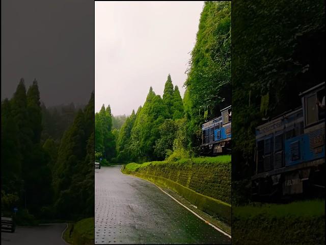 বৃষ্টি ভেজা দার্জিলিং #shorts