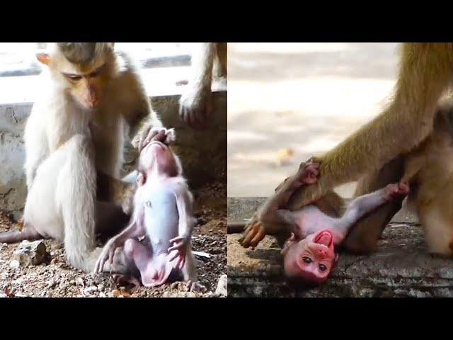 かわいそうなサルの赤ちゃんが誘拐され、悪いサルに虐待されています。サルの赤ちゃんは逃げようとしますが、逃げられません。