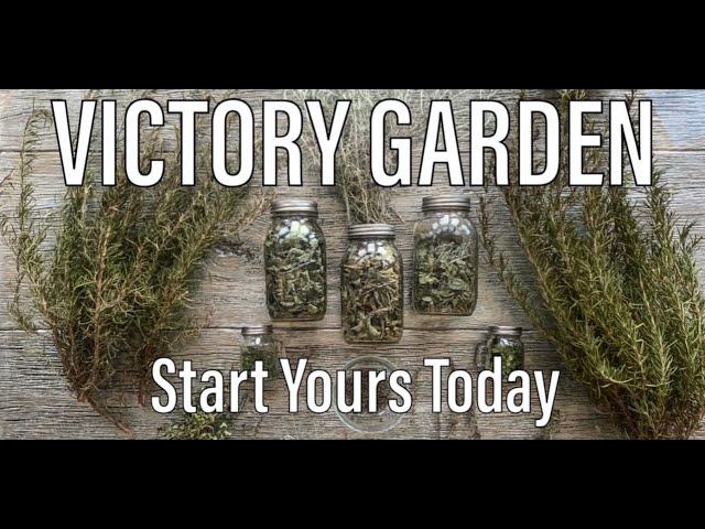 Victory Garden | Start Growing Your Own Food Today