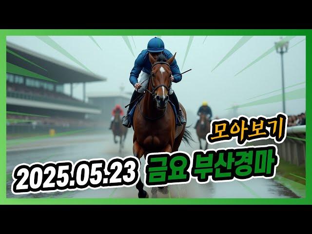 2025년 5월 23일 금요 부산경마 전체경주 모아보기