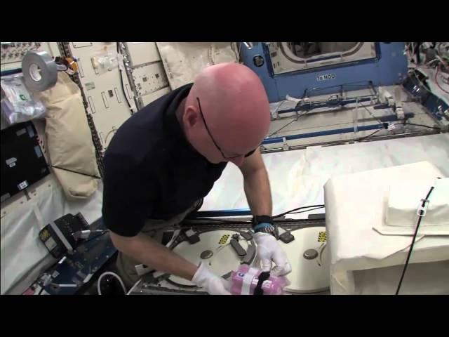 STS-133 Daily Mission Recap - Flight Day 9