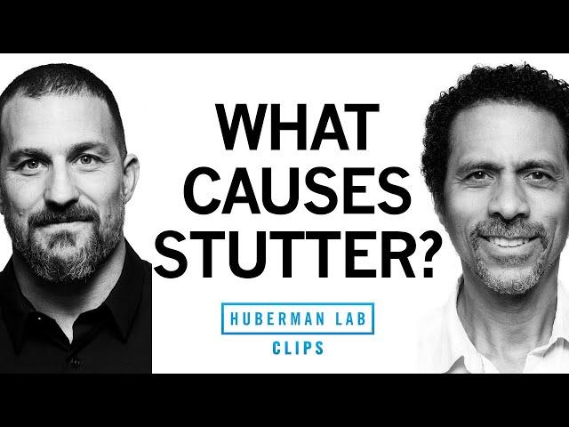 What Causes Stuttering & Treatment for Stutter | Dr. Erich Jarvis & Dr. Andrew Huberman