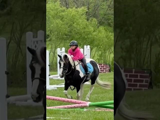 MY FIRST CANTER!!!! #horses #jumping #canter #cute #shorts