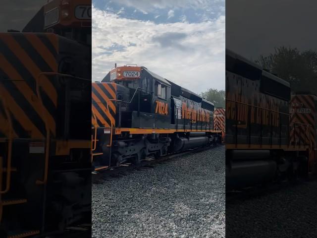 Wheeling and Lake Erie Mixed Freight Train from Lodi, Ohio 10/12/2024 #train #railroad #shorts #rail