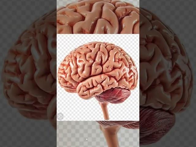 Dream doctor  #target  # love #doctor #mbbs #aiims #aiimsdelhi #hay
