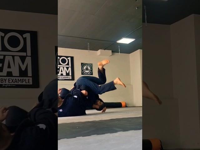 Single leg defense to Omoplata sweep to Armbar  #jiujitsu