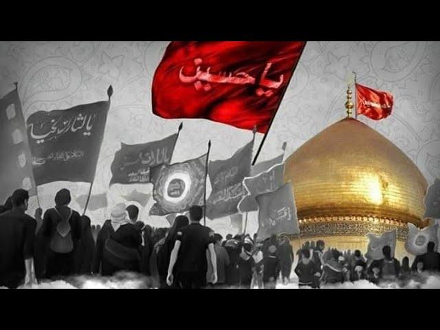 Live Arbaeen Walk 2022 | Najaf To Karbala | Shiz Azadari 2022