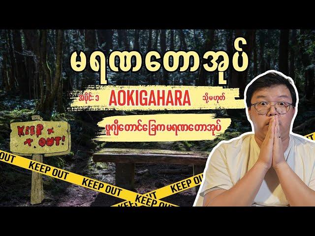 ခြောက်ခြားဖွယ် မရဏတောအုပ် (ခ) Aokigahara တောအုပ်သမိုင်းကြောင်း (အပိုင်း ၁) - Scary Sunday #ep27