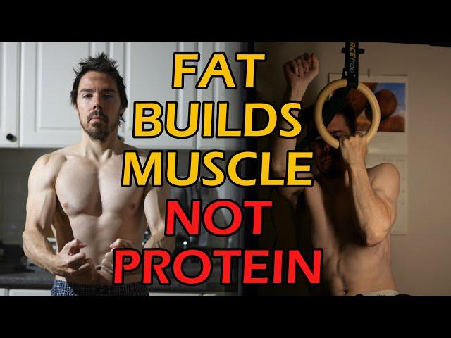 What's More Important For Building Muscle? Protein or HORMONES?