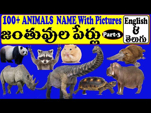 Learn 100+ Animals Name in English And Telugu With Pictures | PART-3 | Learn With KK