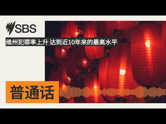 维州犯罪率上升 达到近10年来的最高水平 | SBS Mandarin - SBS 普通话电台