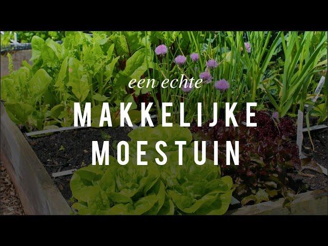 Een echte Makkelijke Moestuin