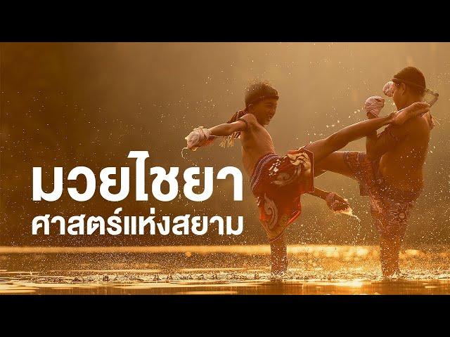 สารคดี ของดีประเทศไทย ตอน มวยไชยา ศาสตร์แห่งสยาม