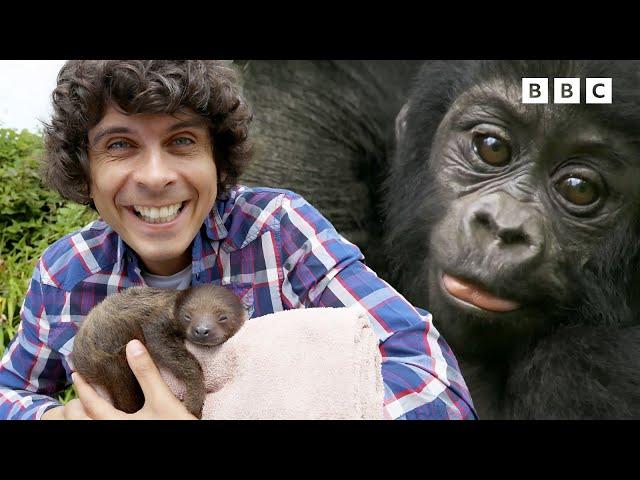 LIVE: Baby Animals MARATHON | Andy's Adventures