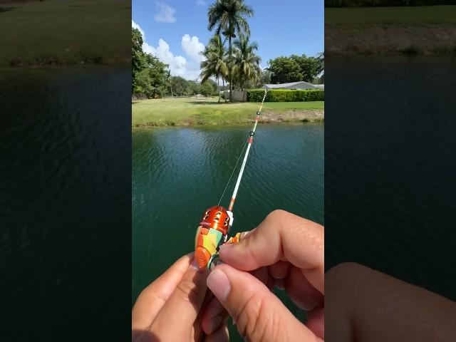 Tiny Fishing Rod VS Big Fish