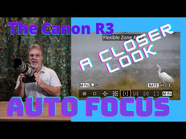 Canon R3 Auto Focus -  a Closer Look