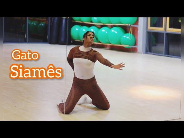 Coreografia Bombástica | Gato Siamês | Ludmila ft Xamã | Naza Cos Coreografia