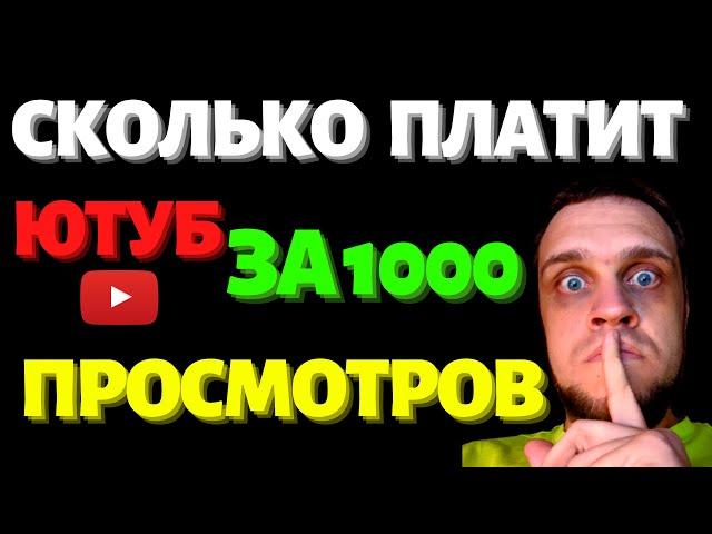 Сколько платит Ютуб за 1000 просмотров в 2021 и за миллион просмотров новичкам