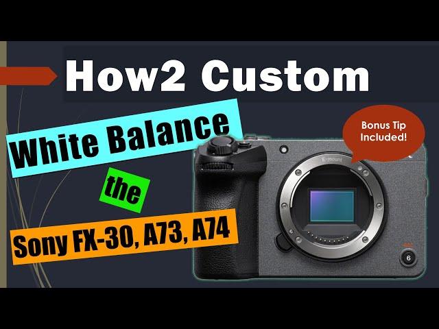 How to Custom White Balance the Sony FX-30 2024