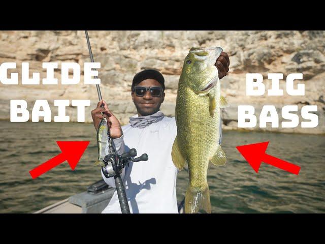 This Is WHY You Fish BIG Glide Baits In The Summer!