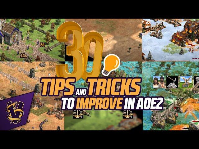 30 Tips and Tricks to Improve in AOE2