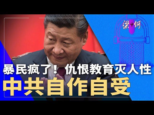 暴民疯了！仇恨教育灭人性，中共自作自受 | #梁+何（362）