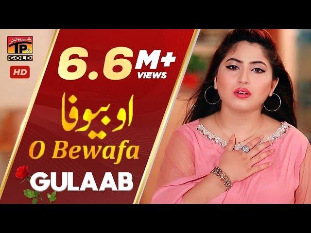 O Bewafa - Gulaab (Official Video) | Latest Punjabi & Saraiki Songs | TP Gold