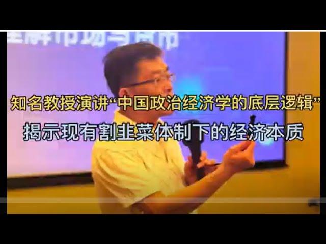 知名教授演讲“中国政治经济学的底层逻辑”，揭示现有割韭菜体制下的经济本质！