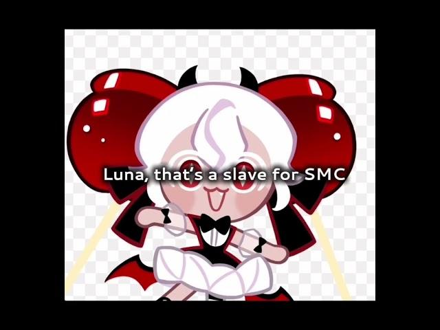 luna thats a slave for SMC yes:3 #recorder