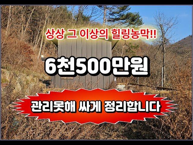 해피700고지 관리를 못해서 싸게 매매합니다.골짜기에 있는 농막6천500만원. 평창농막 / 강원도 평창군 부동산 / 횡성전원주택