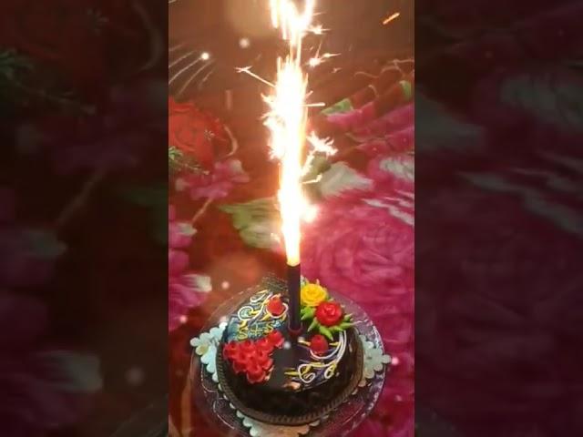 Special Cake | #supercolldillkaavijit | #shorts |