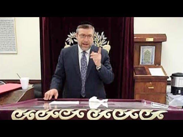 Rabbi Daniel Korobkin - Sugya: The Mitzva of Simcha on Yom Tov KosherTube