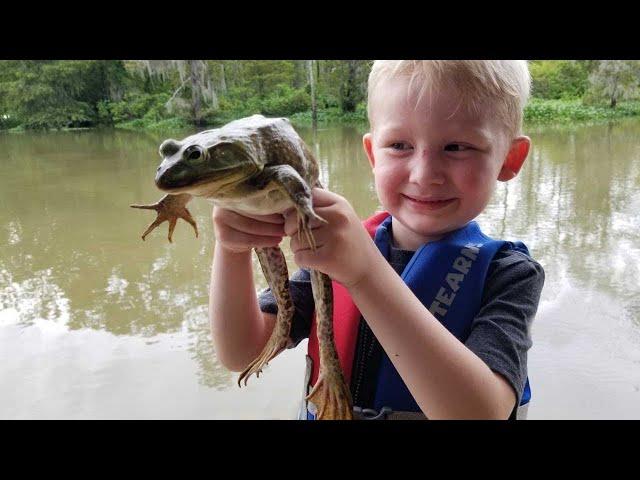 Frog Hunting Catch Clean & Cook! - Frog hunt of a lifetime!