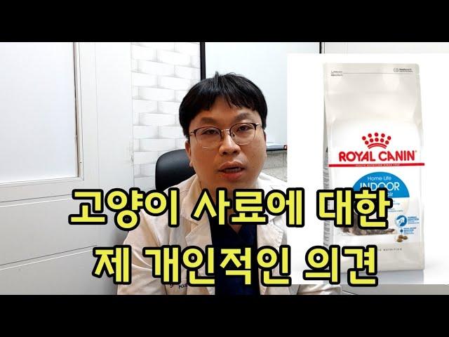 고양이 사료에 대한 제 개인적인 의견 l feat. 로얄캐닌 롱헤어