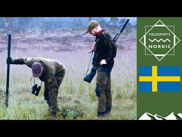 Fieldsports Nordic - Sikajakt i Irland