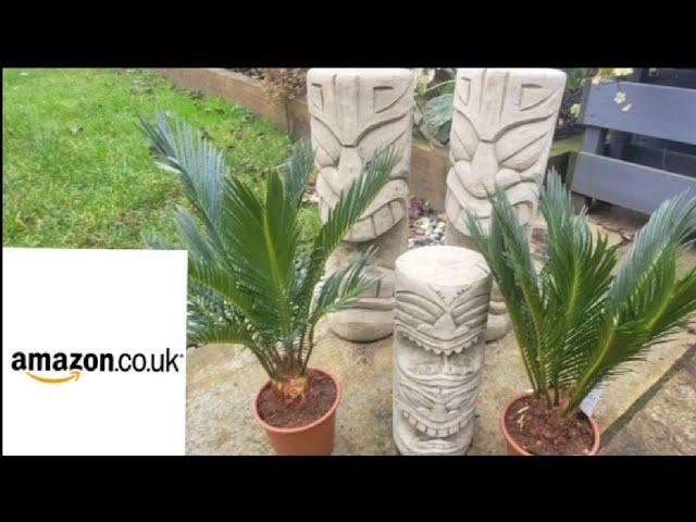 AMAZON BUYS, SAGO PALMS, TIKI HEADS, GETTING READY FOR SPRING ‍