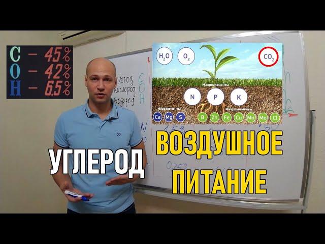 Стратегия воздушного питания растений углеродом