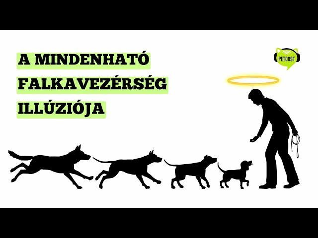 A gazdik sem mindenhatók – Miért hibás a falkaelmélet és mi az a gazdishaming?