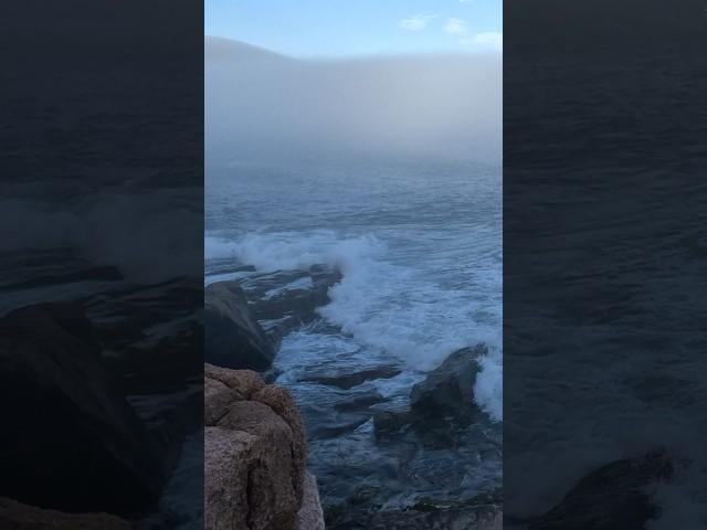 Acadia Ocean Waves #acadianationalpark #ocean #maine #relaxing #interstellar #shorts #shortsvideo