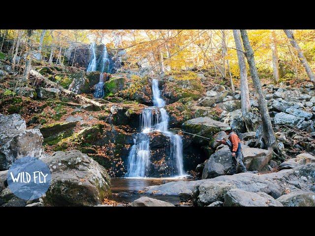 469-Mile Fly Fishing Roadtrip Across the Blue Ridge Parkway