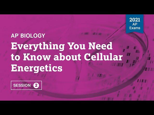 2021 Live Review 2 | AP Biology | Everything You Need to Know about Cellular Energetics