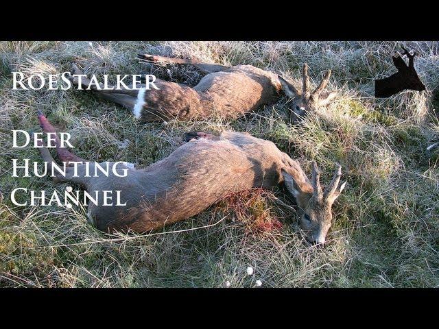 RoeStalker - UK deer hunting channel