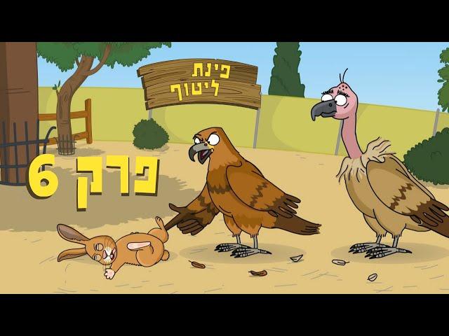 ניר וגלי פינת ליטוף - גרוניך