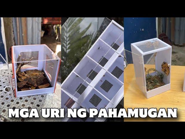 3 KLASE NG MAGANDANG PAHAMUGAN SA GAGAMBA