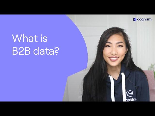 What is B2B data?