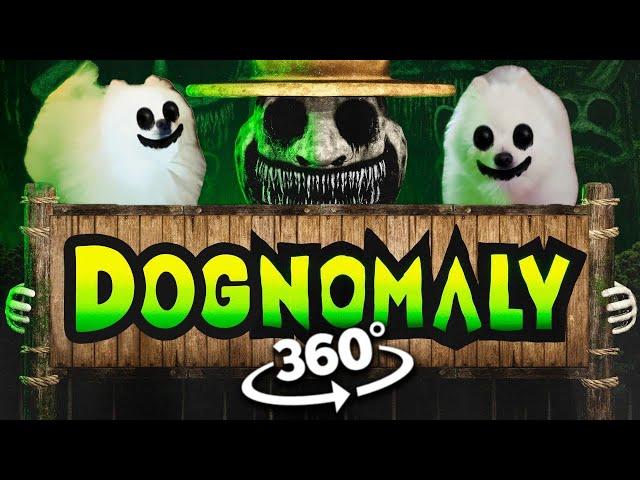 360° VR - DOGNOMALY