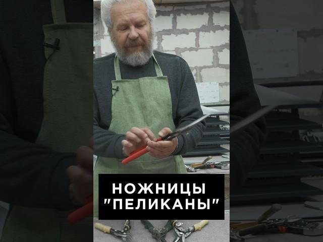 Ножницы Пеликаны, в чем особенность