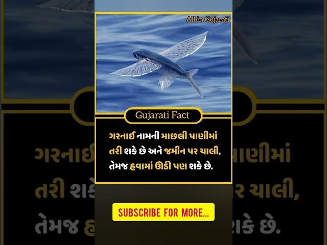 Gujarati Fact | Amazing fact | Gujarati facts | gajab fact | fact in Gujarati | gajab facts #fact