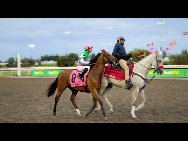 Gulfstream Park Replay Show | November 15, 2024